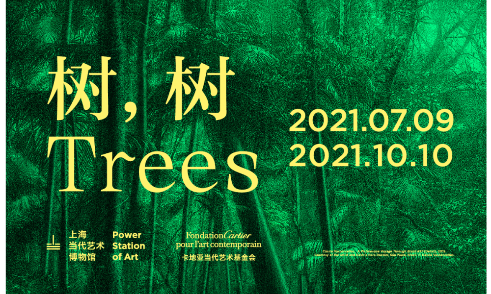 Opening of the exhibition “Trees” in Shanghai, presented by the Fondation Cartier and the Power Station of Art